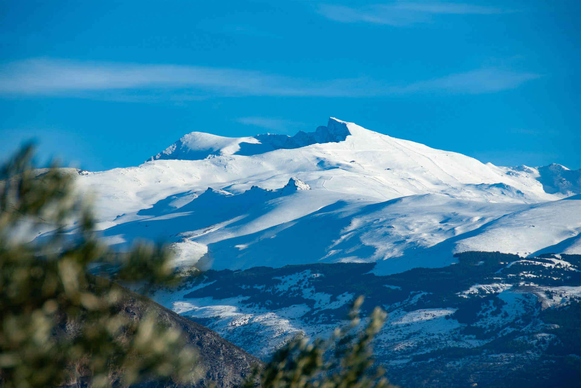 Guide to Sierra Nevada