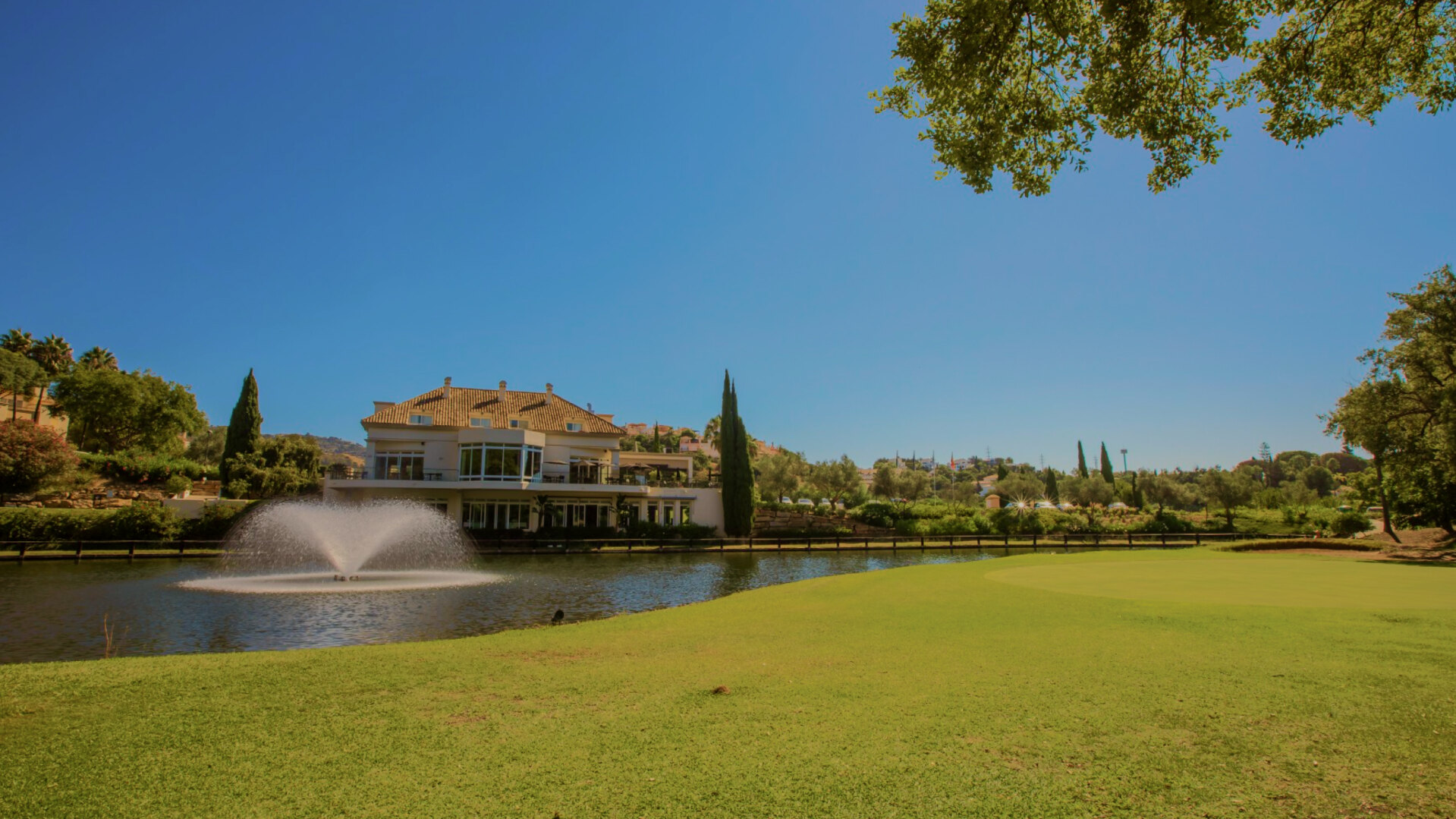 The Elviria Area Guide