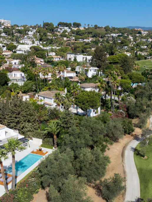 The Nueva Andalucia Area Guide