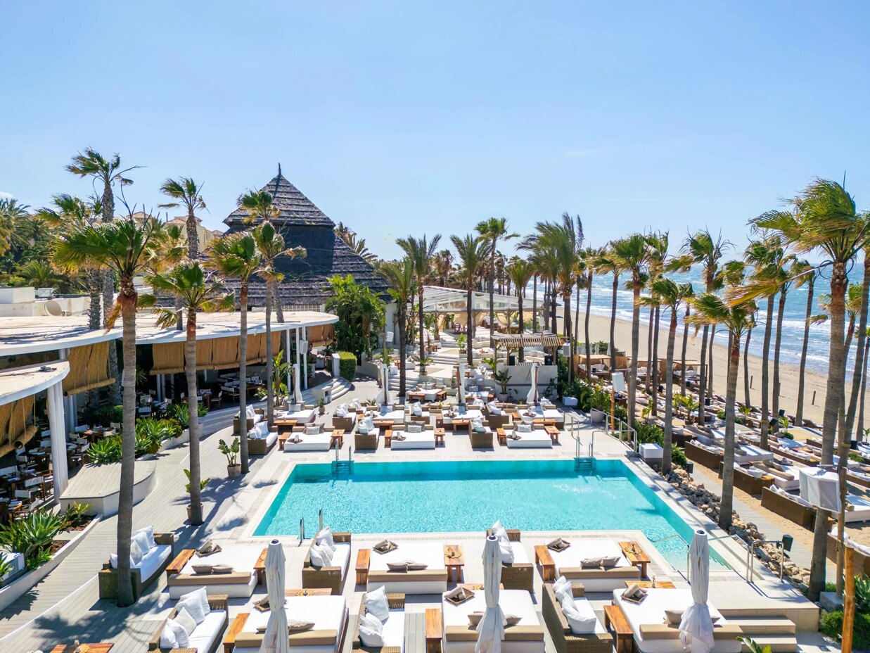 Luxury beach club in Marbella with pool, sunbeds and palm trees