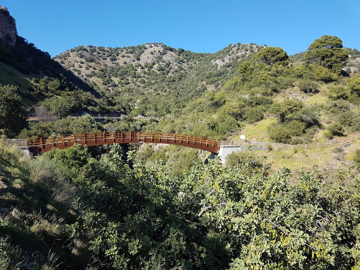 Scenic green valley in Guadalmina with wooden bridge surrounded by nature