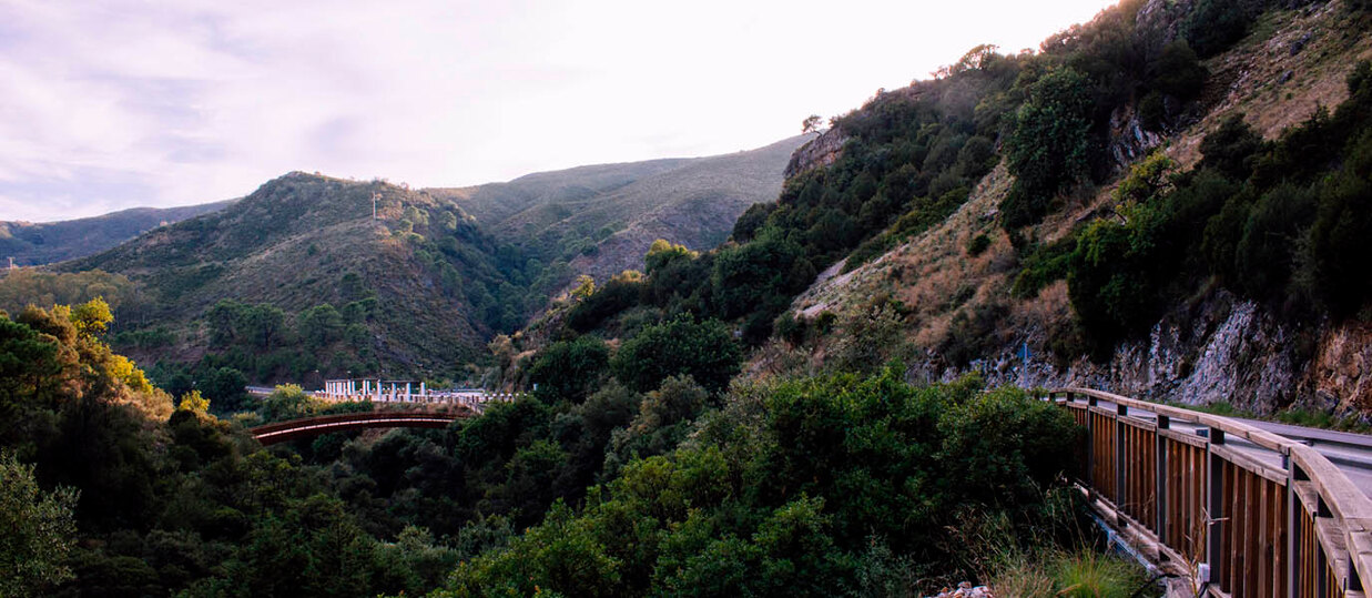 Elevated wooden walkway through natural landscape near Guadalmina