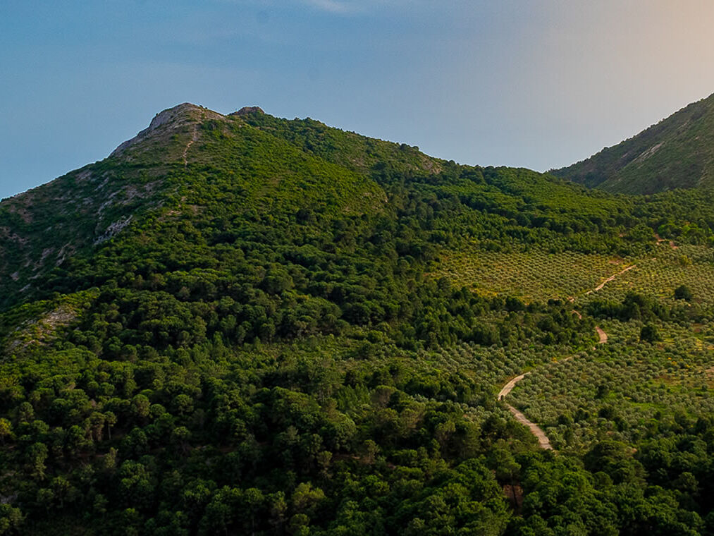 Natural landscape near Marbella with mountains and greenery