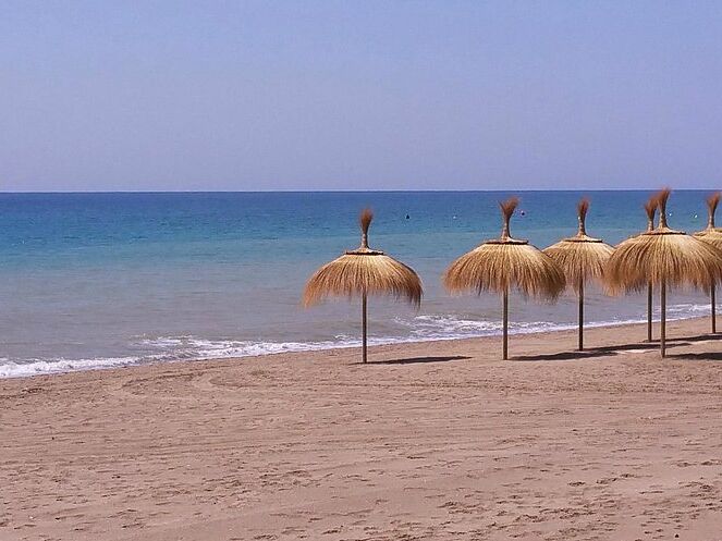 San Pedro Playa: The Ultimate Beachside Area Guide