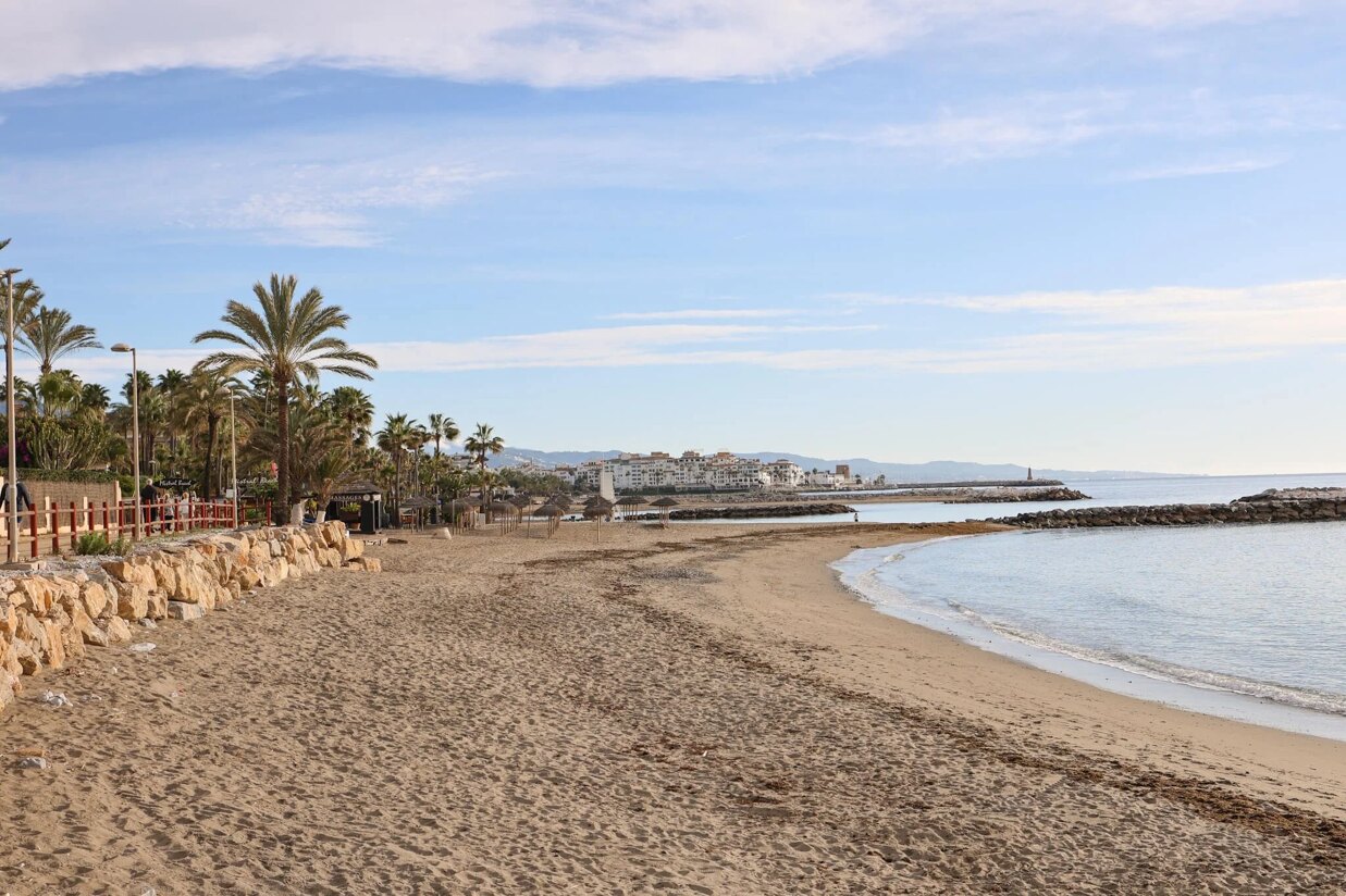 Sandy beach and calm Mediterranean shoreline in San Pedro de Alcántara with palm trees and promenade