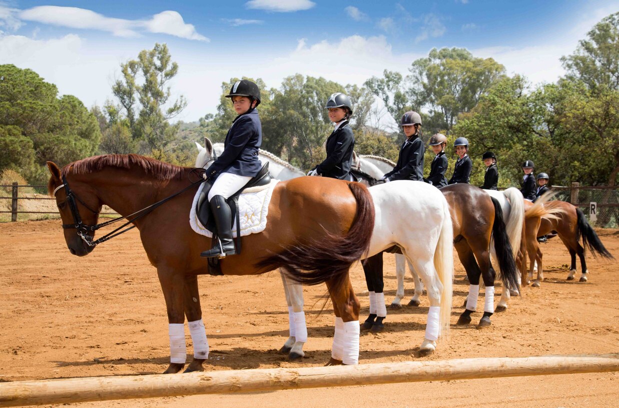 Colegio Alborán offers a variety of activities that integrate children with nature and teach them to care for animals, including horses and small animals.
