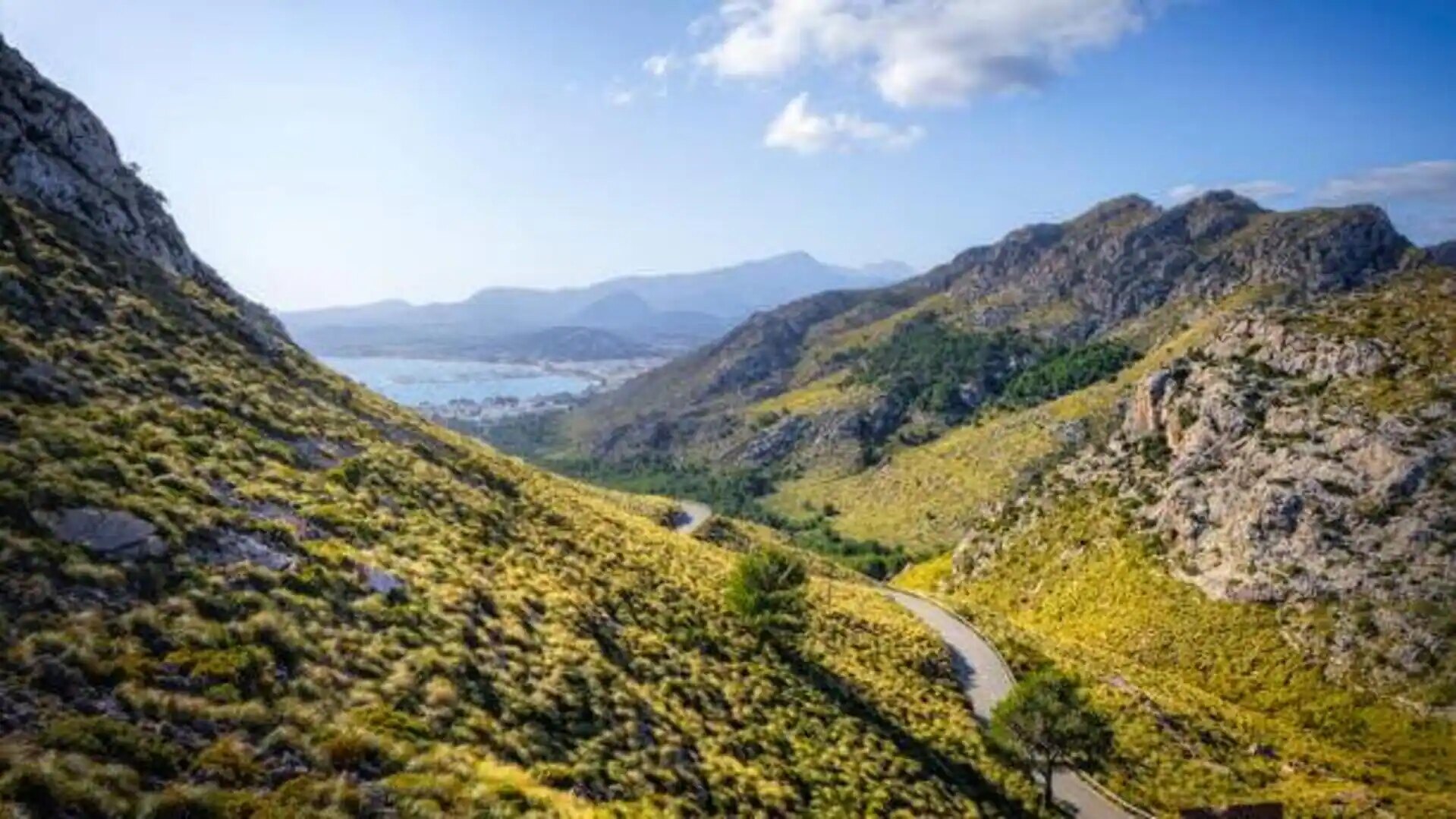 Why International Buyers Are Choosing Mallorca for Long-Term Real Estate Investment