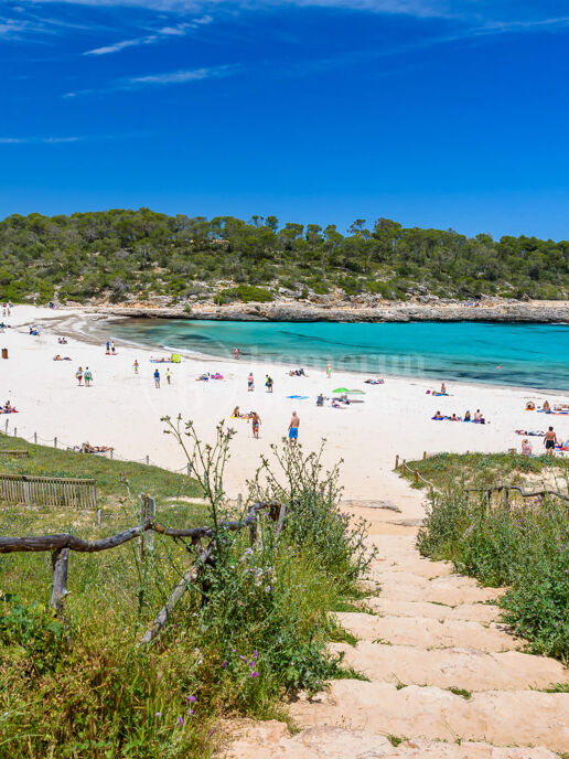 The Best Areas to Raise Children in Mallorca