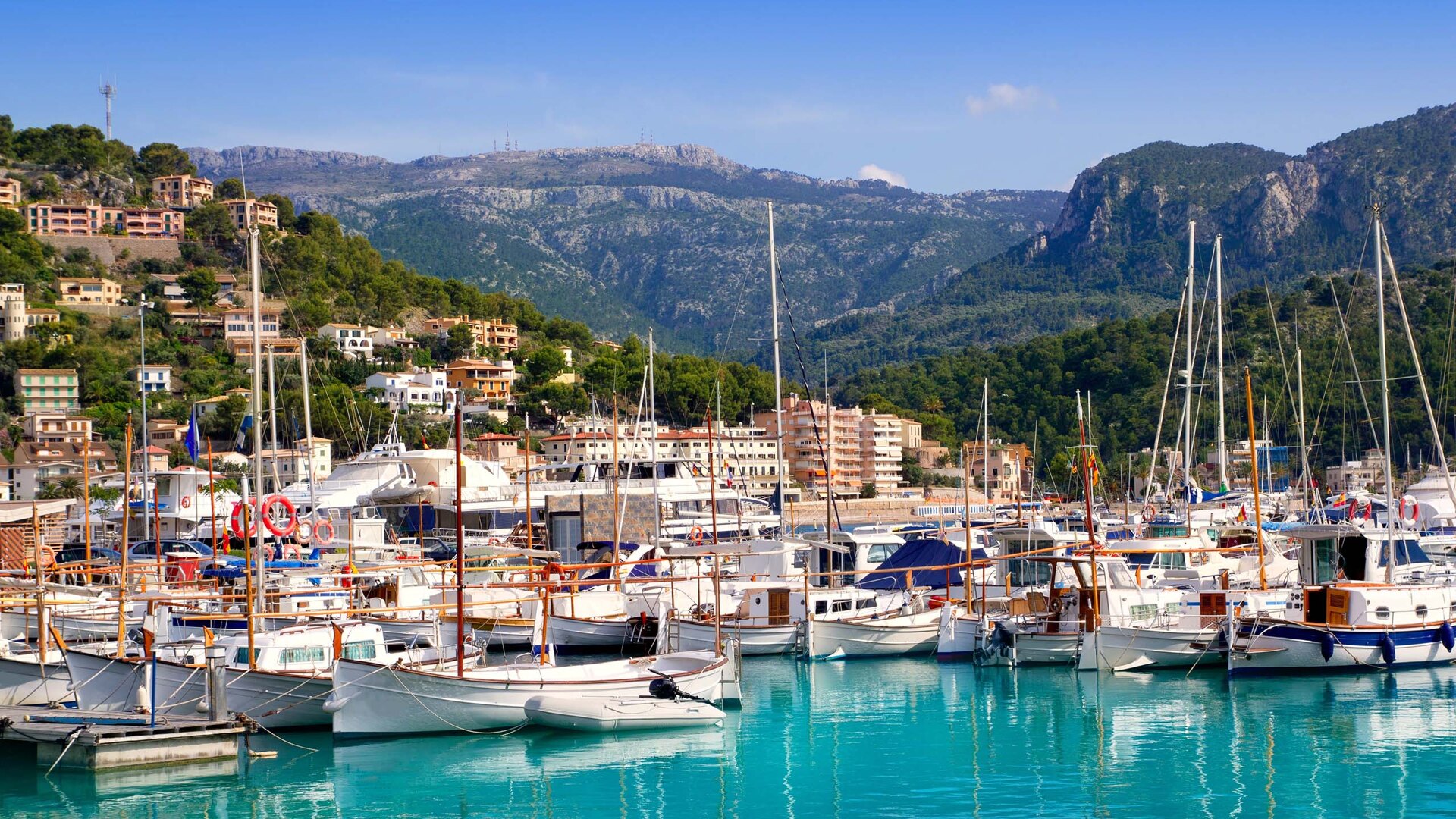 Discover the Best Neighborhoods in Mallorca