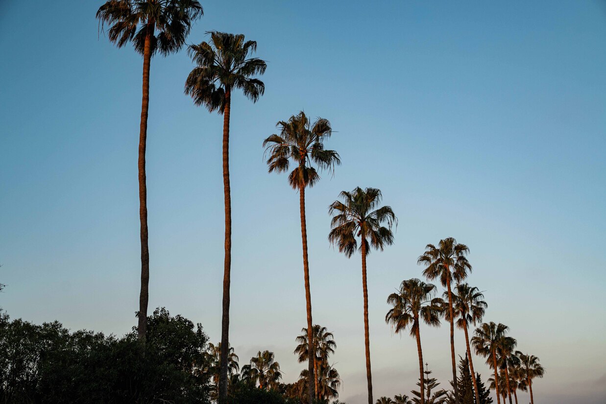 Sotogrande Serenity Under Blue Skies