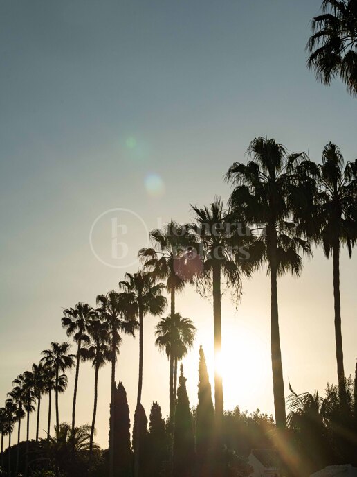 Buying Property in Sotogrande: Taxes, Legal Process & Insider Tips