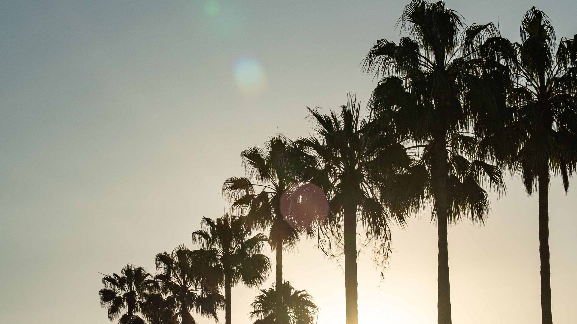 Buying Property in Sotogrande: Taxes, Legal Process & Insider Tips