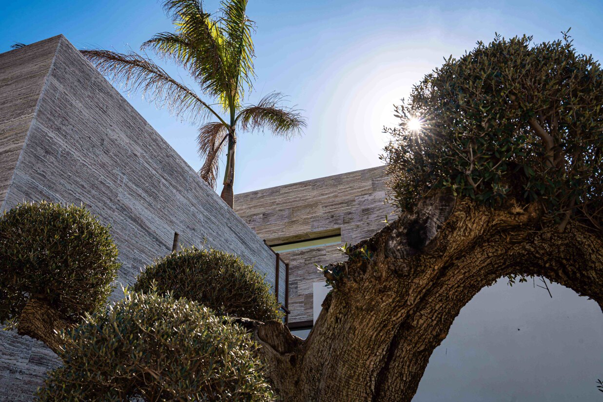 Contemporary villa with natural stone walls and mature tree integrated into the architecture in Sotogrande.