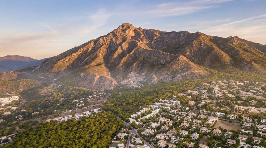 Luxury Real Estate Negotiation