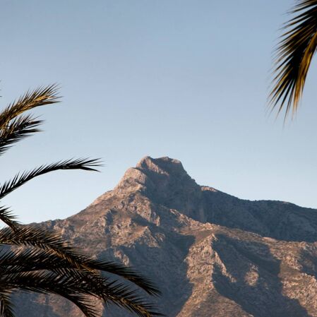 Los mejores gimnasios, restaurantes y emocionantes ciudades en Marbella o sus alrededores