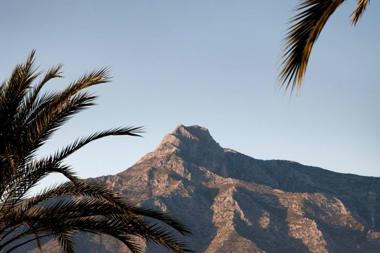 Les meilleurs gymnases, restaurants et villes passionnantes à Marbella ou près de Marbella