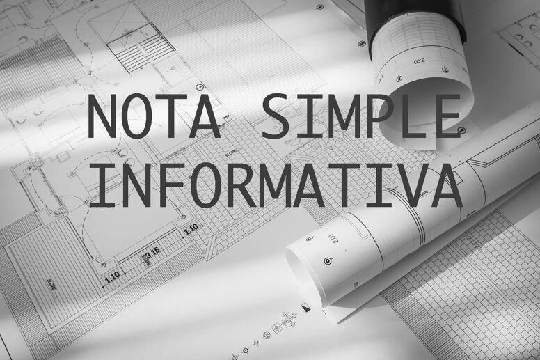 Nota Simple (Nota Simple Informativa) – Property Registry Filing in Marbella