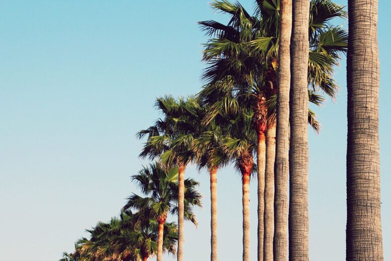 Cómo pasar el invierno en Marbella