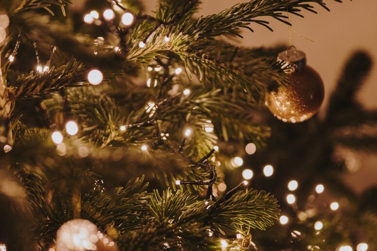 Ein Leitfaden für Weihnachten in Marbella