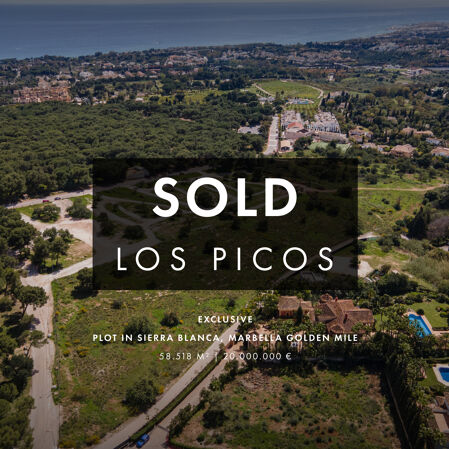 Han har det fortfarande! Den bästa tomten i Sierra Blanca såldes av Drumelias grundare