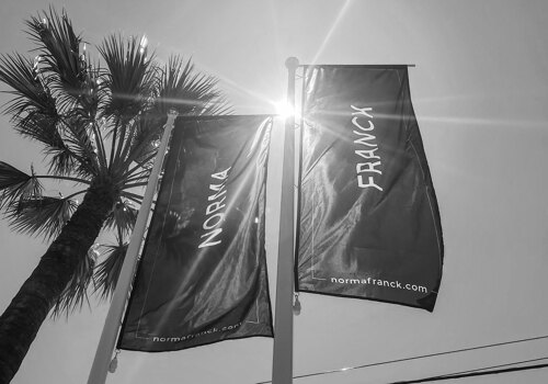 Black and white image of Norma Franck banners waving under the sun, framed by a tall palm tree, symbolising luxury real estate in Marbella.