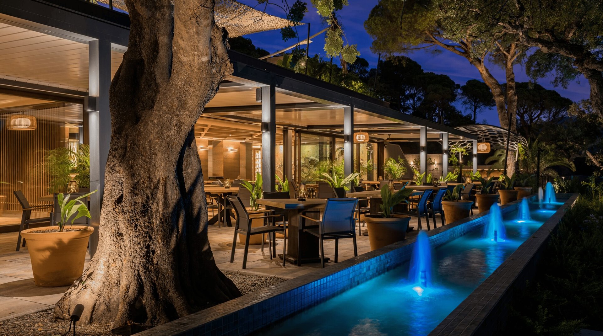 Elegant outdoor restaurant in Benahavís, featuring warm lighting, lush greenery, a water feature with blue fountains, and a large olive tree.