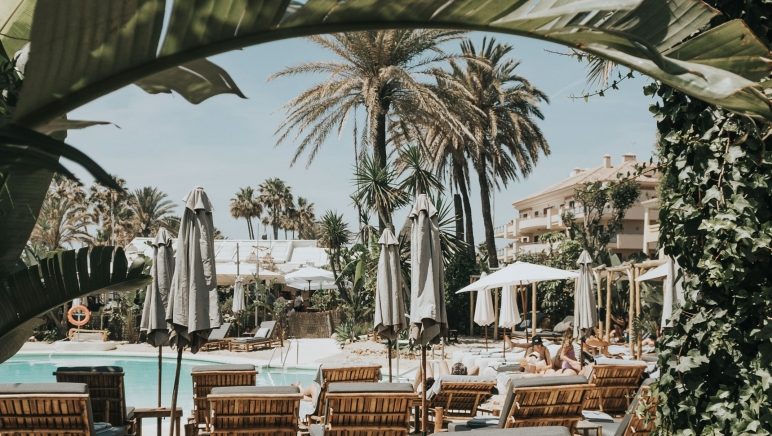 A swimming pool with palms, hammocks and a blue sky.