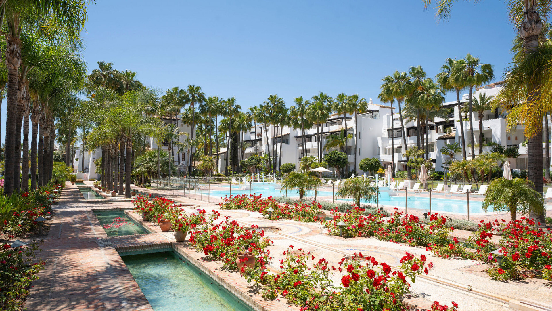 a large swimming pool surrounded by palm trees at Puente Romano