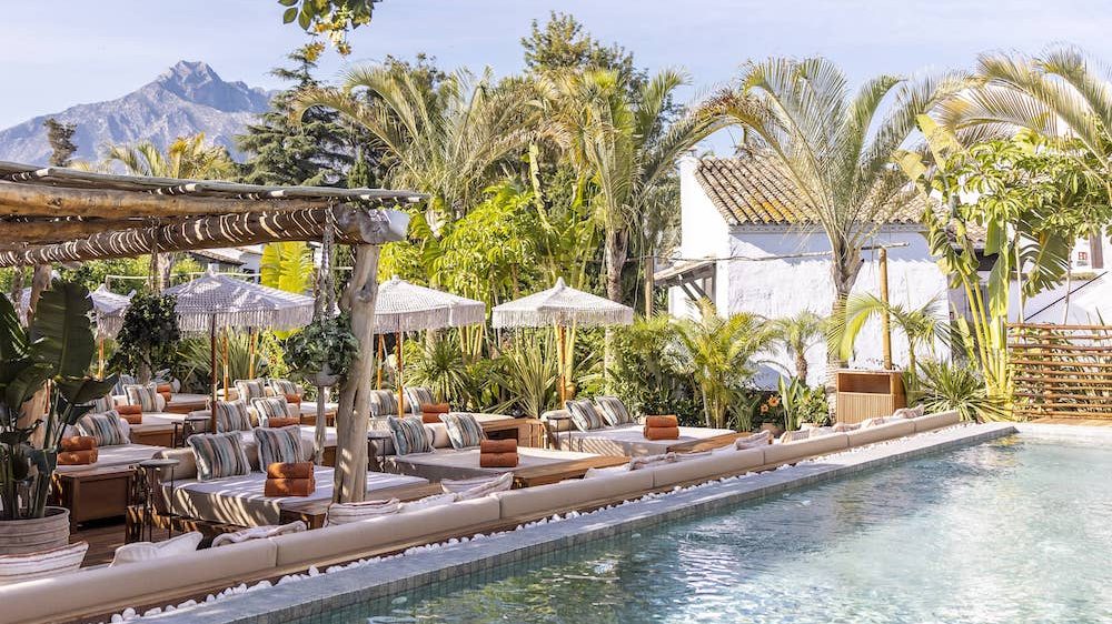 Coya beach club in Marbella, featuring a poolside lounge with boho-style sunbeds, white parasols, lush greenery, and La Concha Mountain in the background.