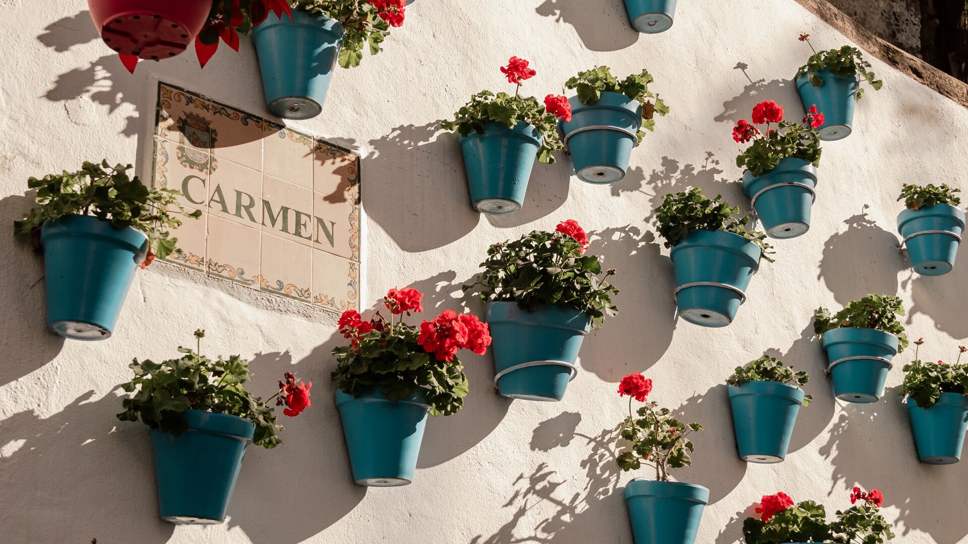 Blue flower pots with red geraniums on a white wall in Calle Carmen, Marbella Old Town, casting shadows in the sunlight.