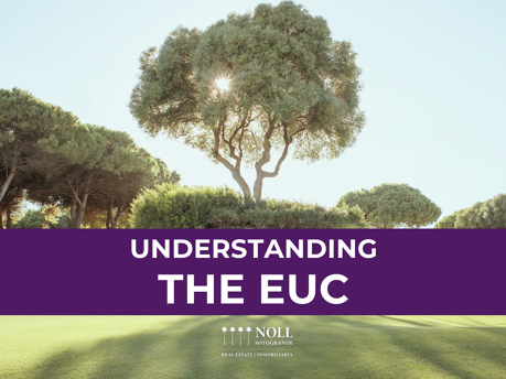 Understanding the EUC: The Backbone of Community Life in Sotogrande