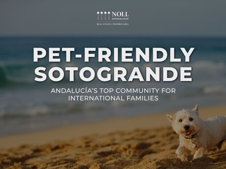 Pet‑Friendly Sotogrande | Living with Dogs in Andalucía Q