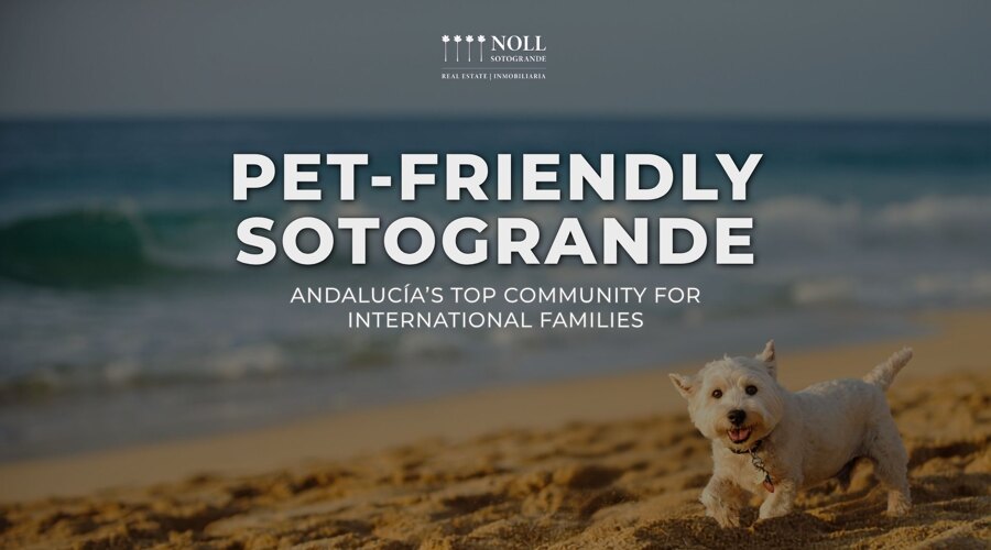 Pet‑Friendly Sotogrande | Living with Dogs in Andalucía Q