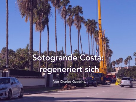 Sotogrande Costa… regeneriert sich