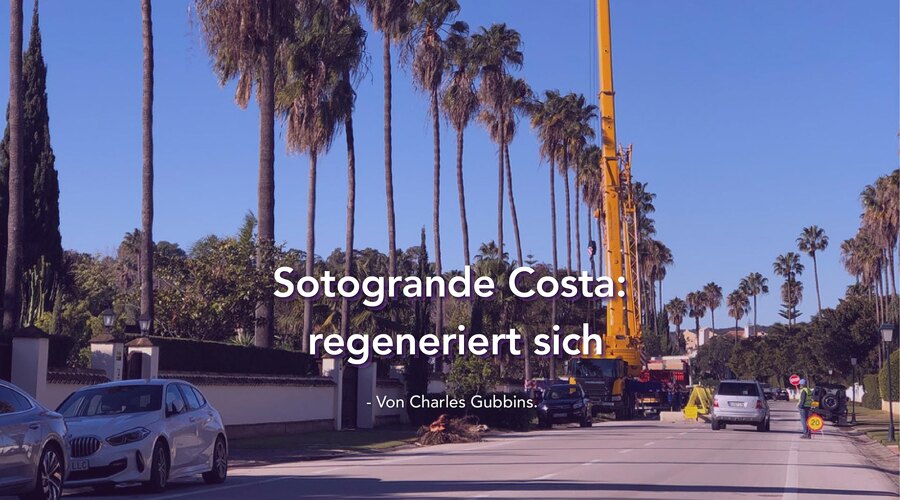 Sotogrande Costa… regeneriert sich