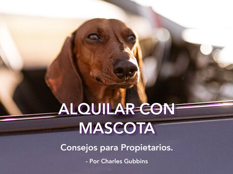 Permitir mascotas en su propiedad de Sotogrande: Consejos para PROPIETARIOS.