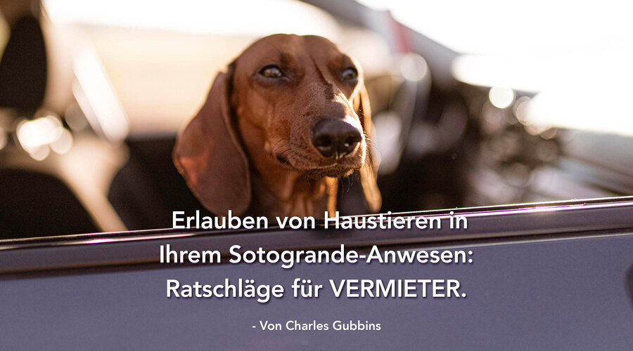 Tierhalter finden es oft schwierig, eine Unterkunft in Sotogrande zu finden, da viele Vermieter keine Tiere in ihrem Haus zulassen. Wir wissen, welche wichtige Rolle Haustiere im Leben der Menschen spielen können. Hier einige selbsterklärende Erkenntnisse für die Vermieter von Sotogrande.