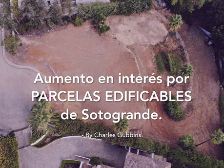 Aumento significativo en el interés por las parcelas edificables.