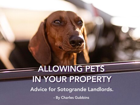 Allowing Pets in your Sotogrande Property: Advice for LANDLORDS.