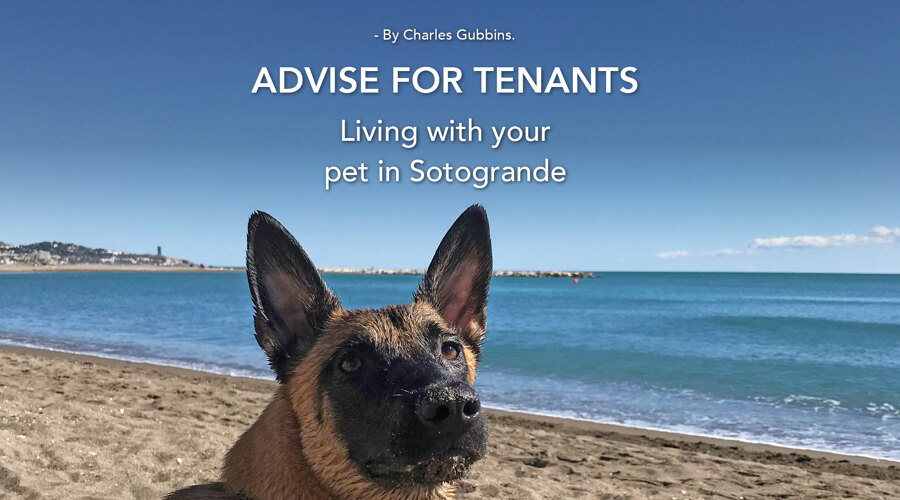 Living with your pet in Sotogrande 1