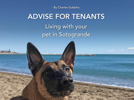 Living with your pet in Sotogrande 1