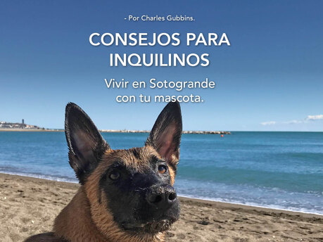 Vivir con tu mascota en Sotogrande