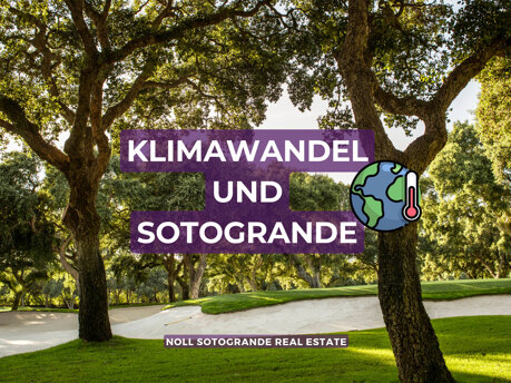 Klimawandel und Sotogrande von Stephanie Noll Immobilien