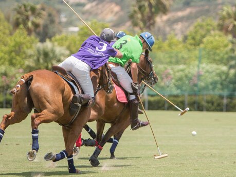 polo-sotogrande_noll-partners-real-estate-banner_torneo-la-quinta-1