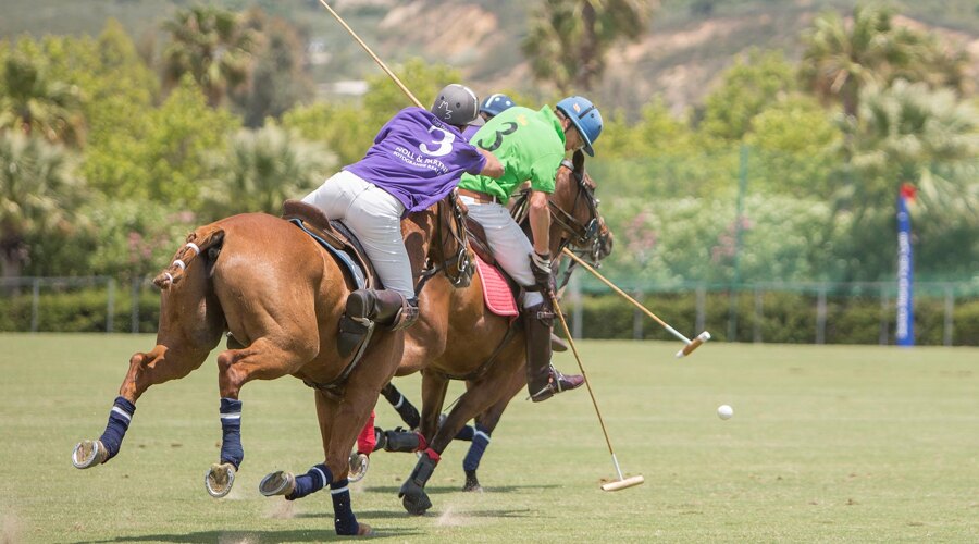 polo-sotogrande_noll-partners-real-estate-banner_torneo-la-quinta-1