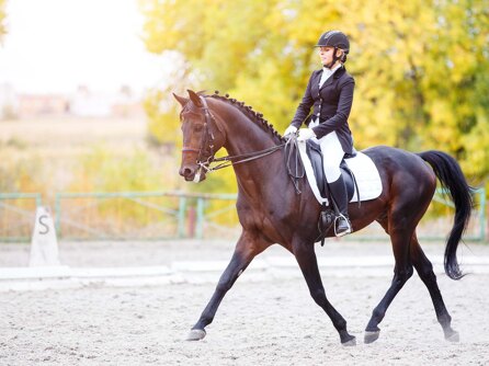 Equestrian in Sotogrande