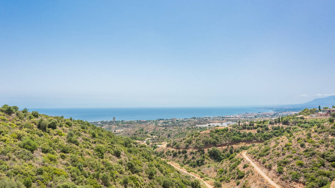 Los Monteros views