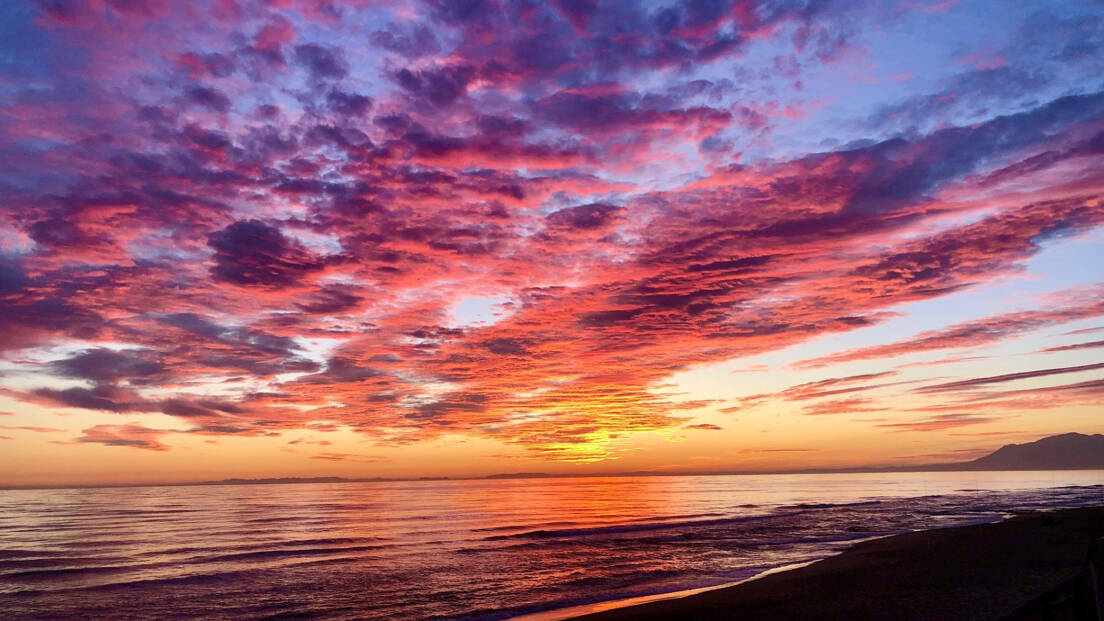 Los Monteros beach