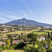 Los Naranjos