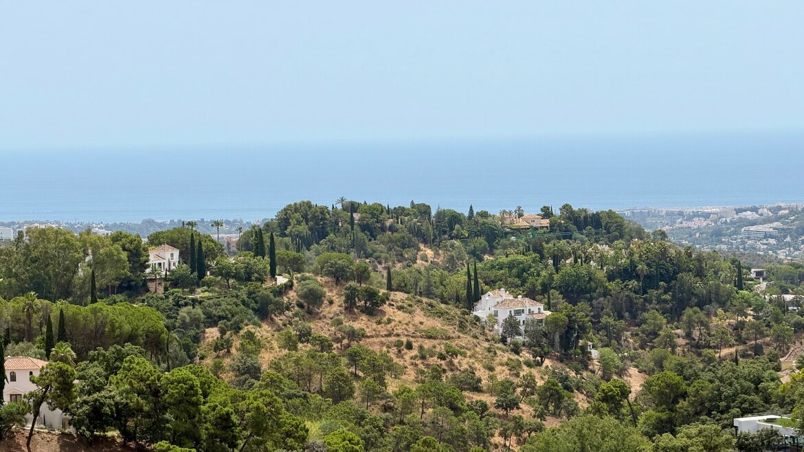 El Madroñal